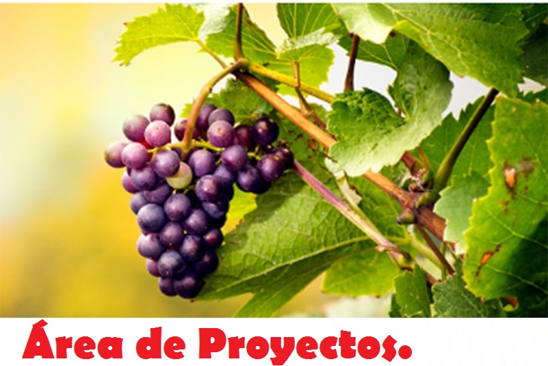 Area Proyectos y Fabricación.