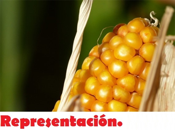 Representación.
